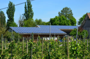 dertal fotovoltaico gallura